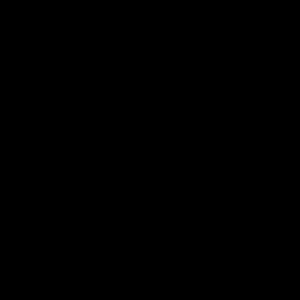 Meet your Posher, Bonnie